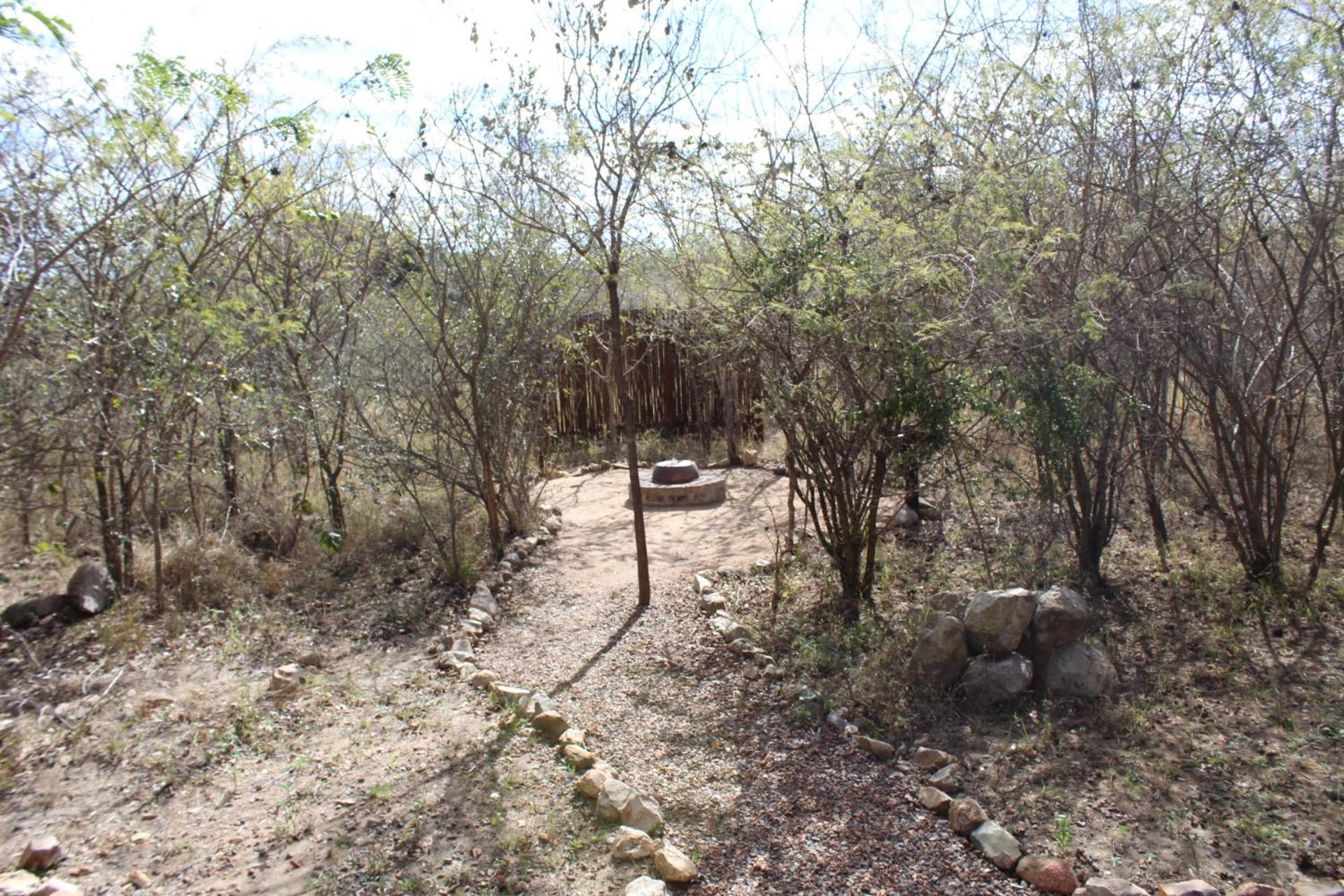 Mjejane Bush Camp By Dream Resorts Hectorspruit Luaran gambar