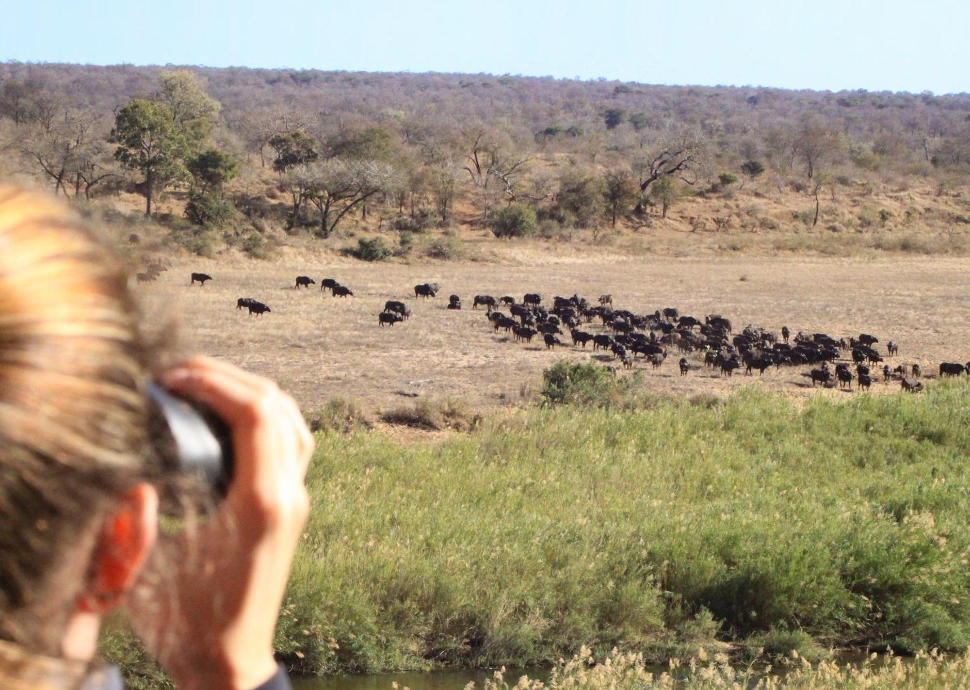 Mjejane Bush Camp By Dream Resorts Hectorspruit Luaran gambar