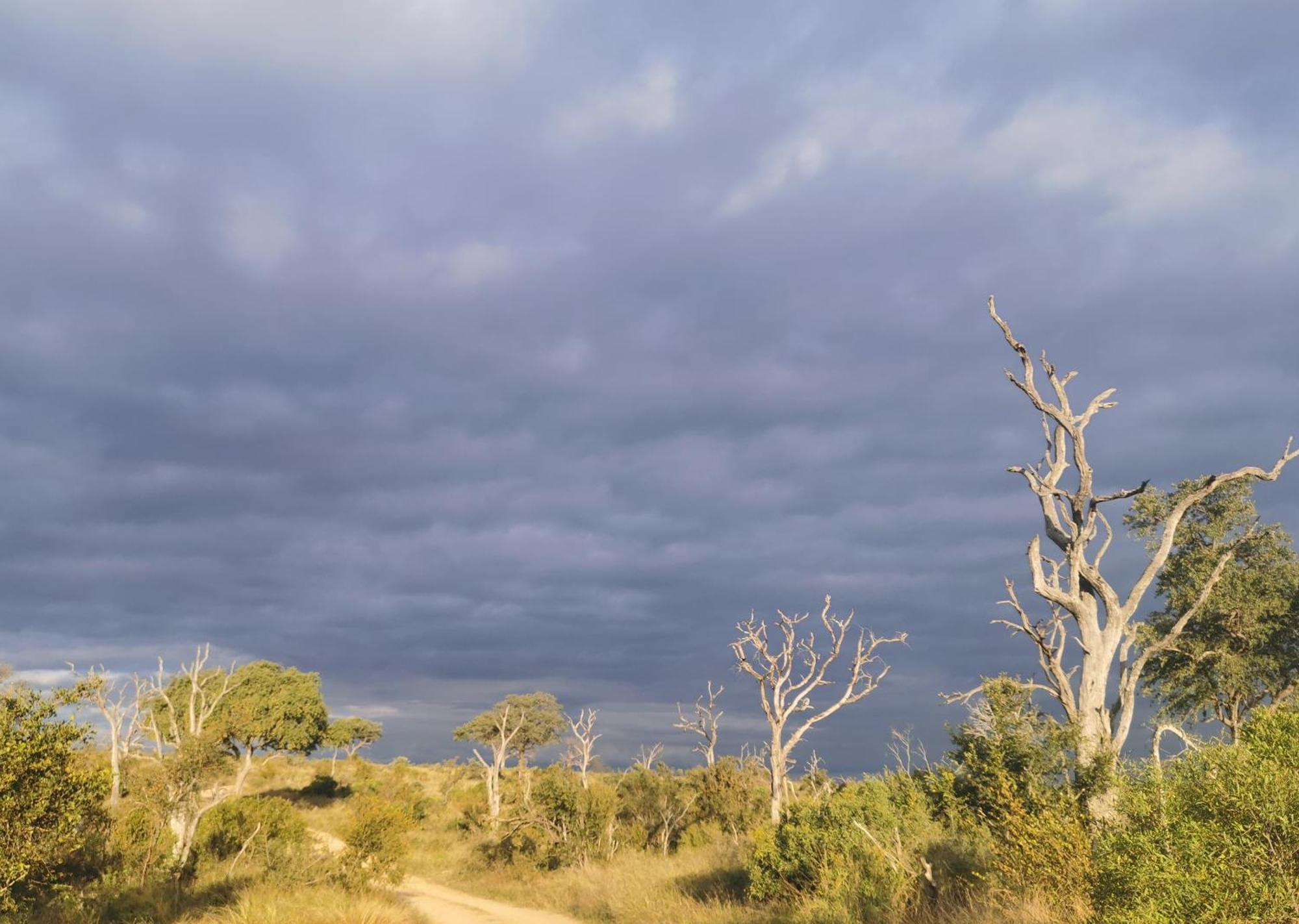 Mjejane Bush Camp By Dream Resorts Hectorspruit Luaran gambar