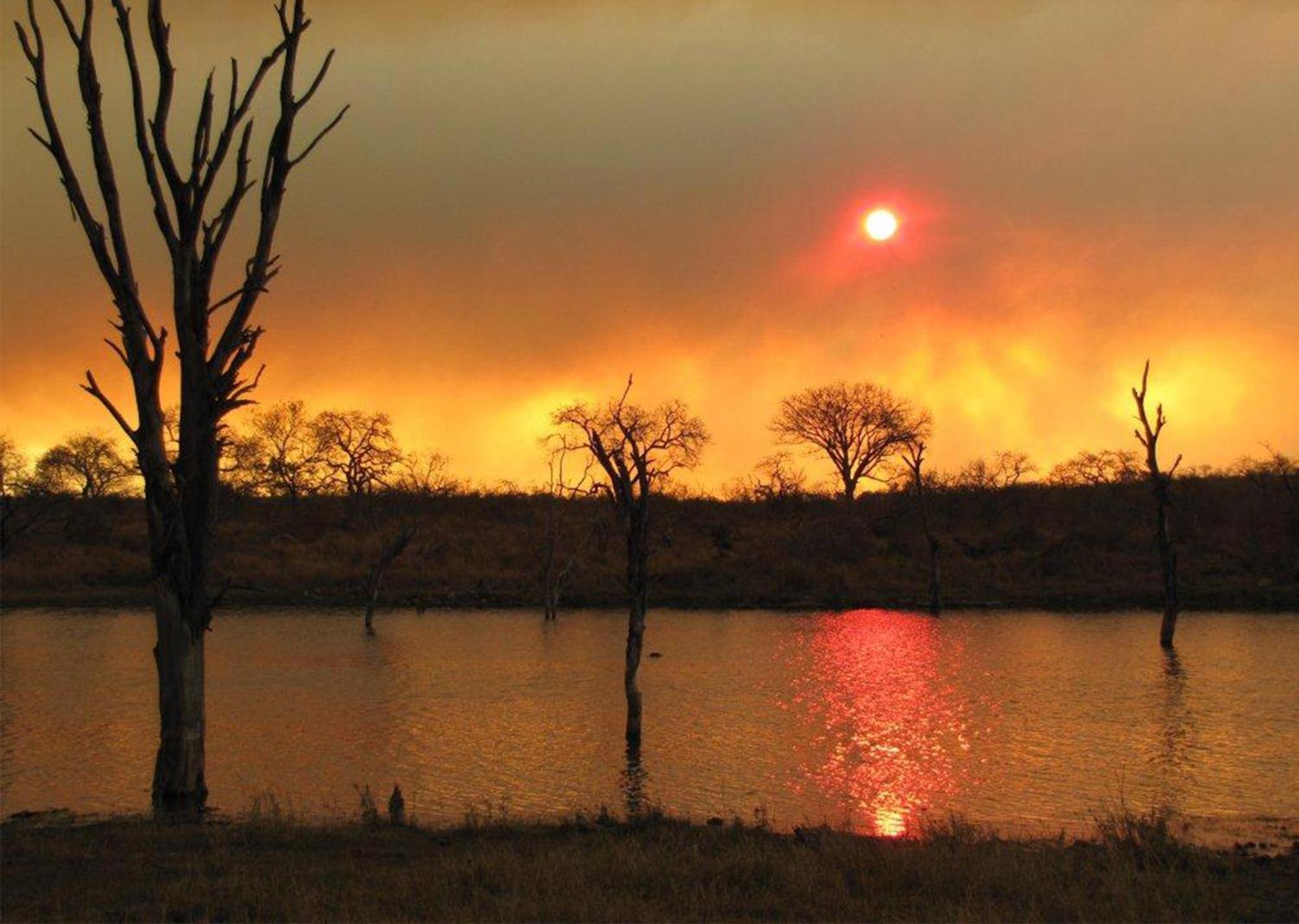 Mjejane Bush Camp By Dream Resorts Hectorspruit Luaran gambar