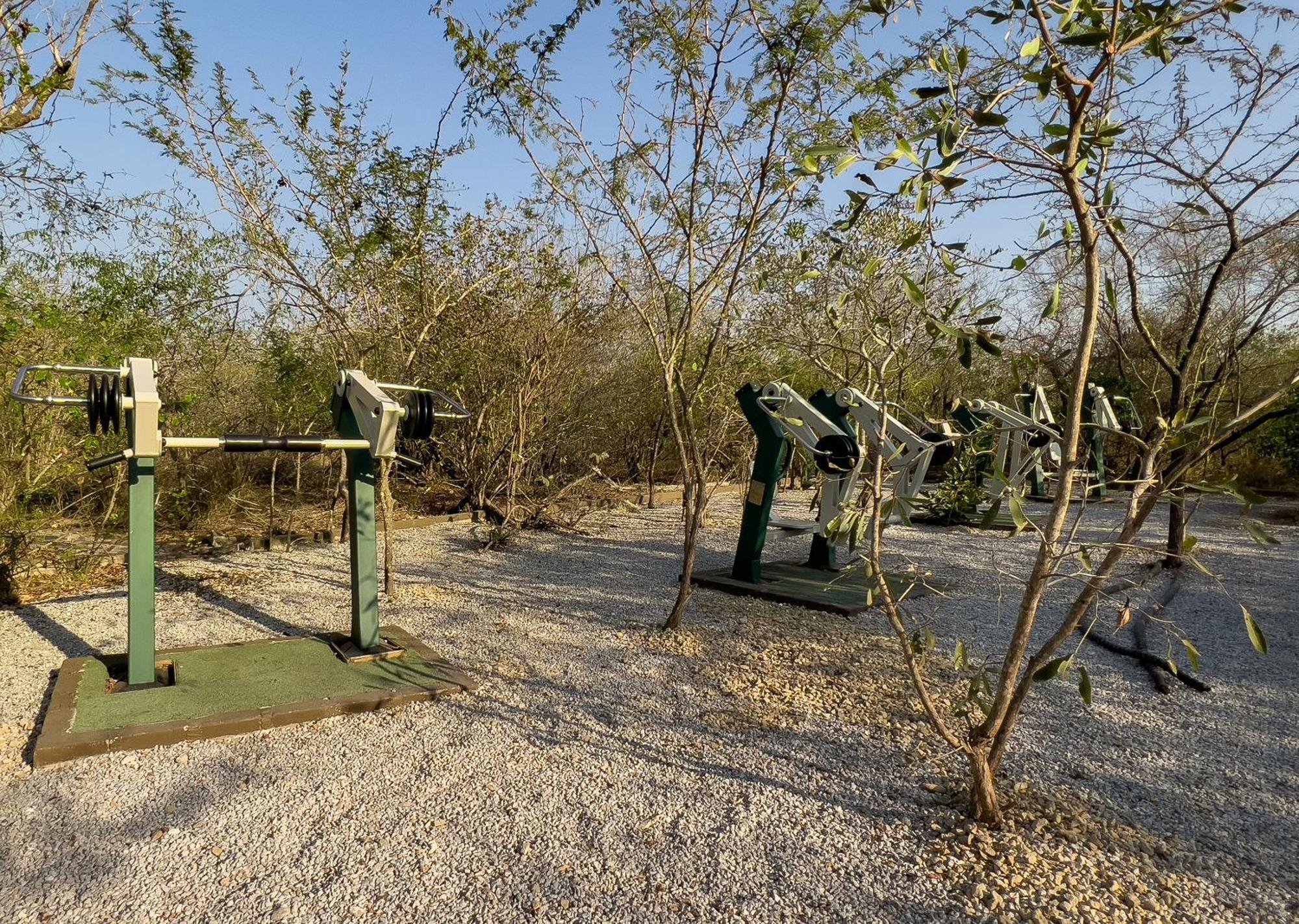Mjejane Bush Camp By Dream Resorts Hectorspruit Luaran gambar